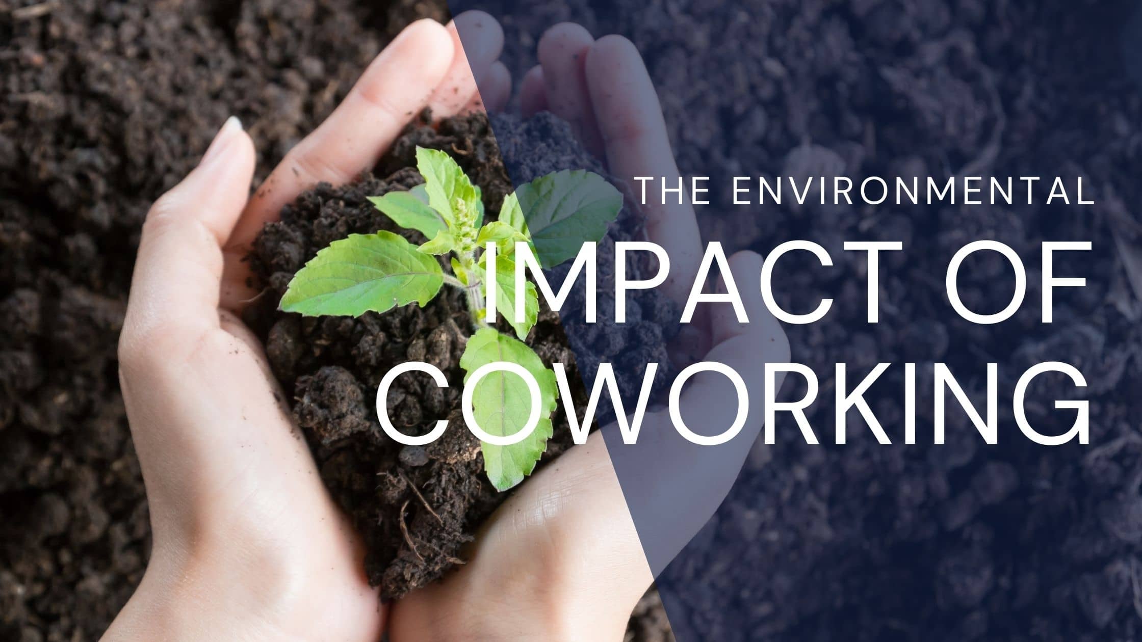 the environmental impact of coworking