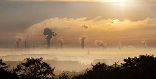 Co-work and the environment